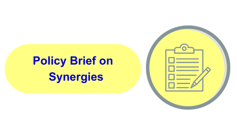 Policy brief on SYNERGIES